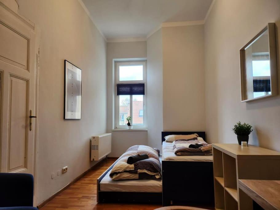 4 Raum Wohnung Mit Balkon Auf 120Sqm In Top Lage Dresde Exterior foto